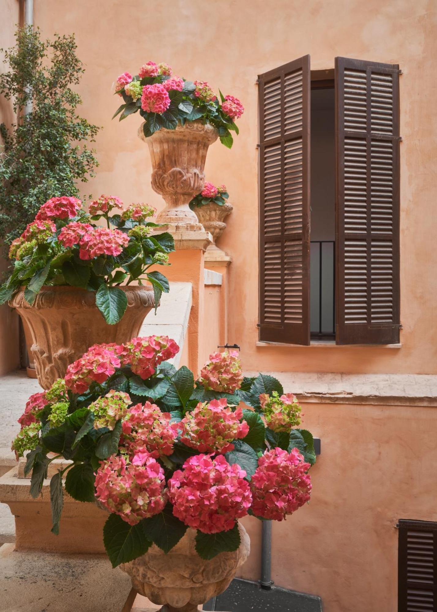 Hotel Boutique Terra Santa Palma